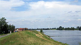 Die Elbe bei Over